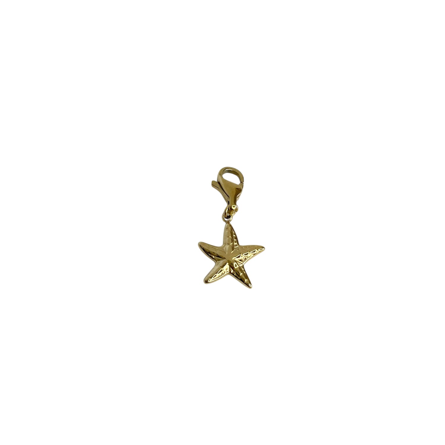 Charm Étoile De Mer Acier Inoxydable