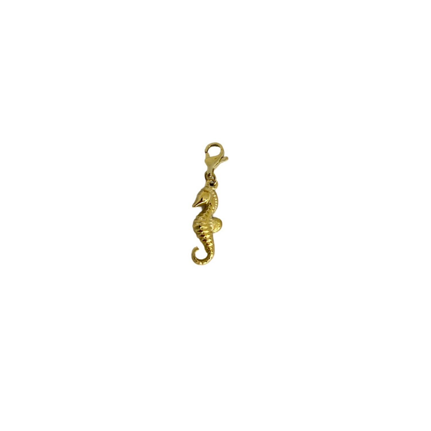 Charm Hippocampe Acier Inoxydable